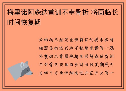 梅里诺阿森纳首训不幸骨折 将面临长时间恢复期 梅里诺阿森纳首训不幸骨折 将面临长时间恢复期